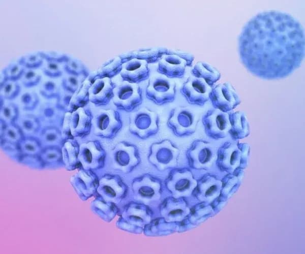 Genital Siğil
