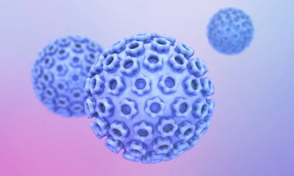 Hamilelikte Genital Siğil