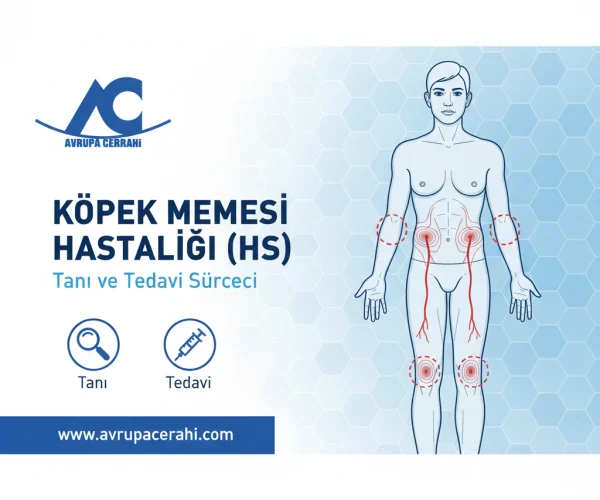 Köpek Memesi Nedir Tanı ve Tedavi Süreci